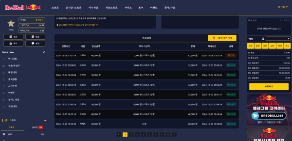 레드불 이용후기