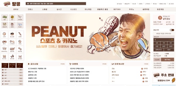 최고의 사이트 땅콩 후기!