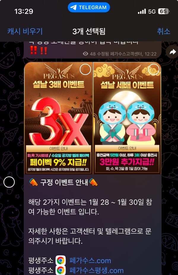 페가수스 사용후기