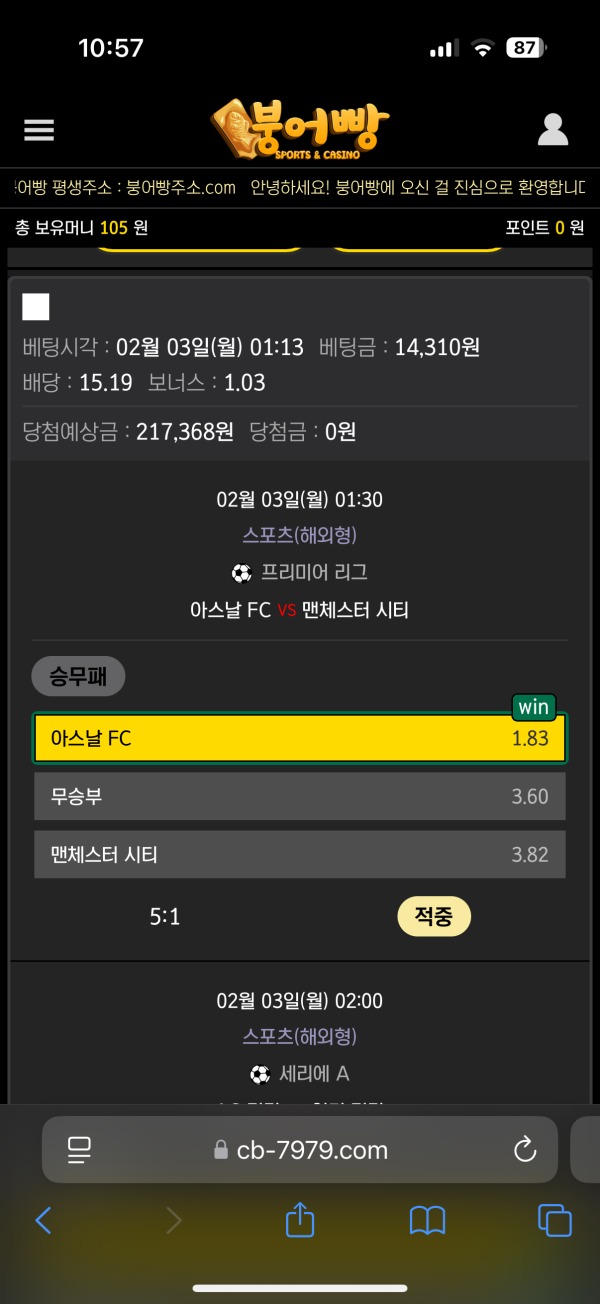 붕어빵벳 이용후기