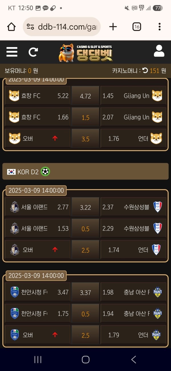 댕댕벳 후기 꼭봐주세요ㅎ