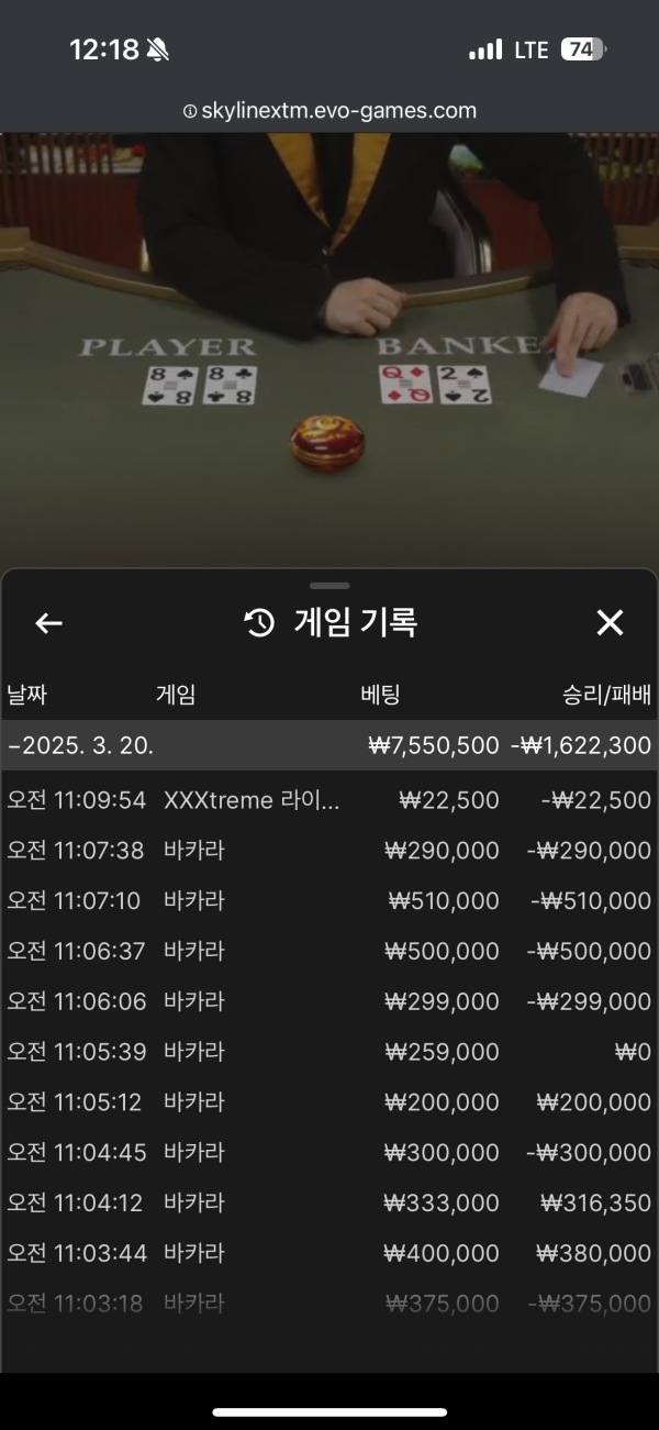 알파카지노 후기