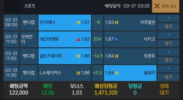 알파카지노 후기