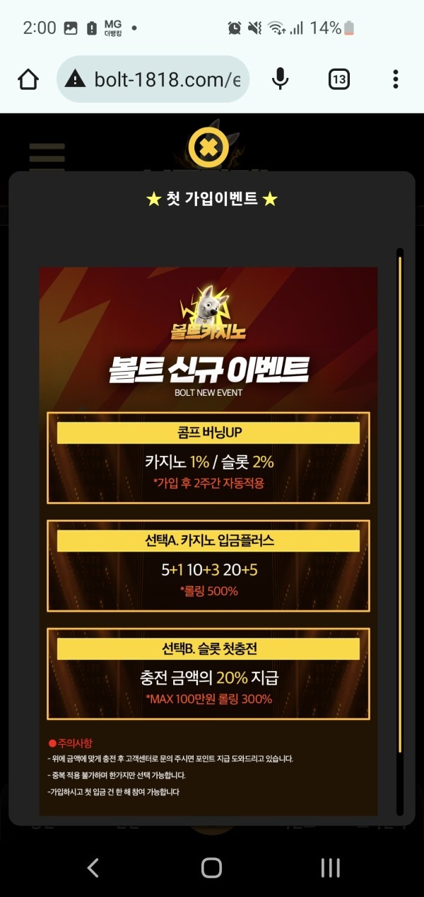 볼트카지노 후기