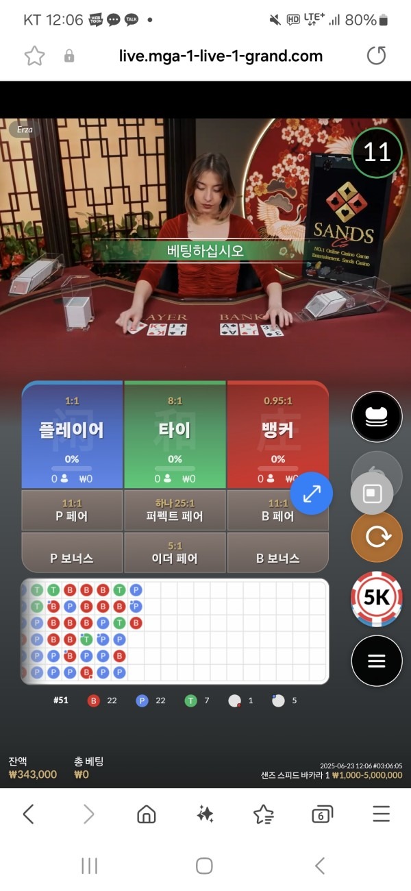 비제휴 프리카후기