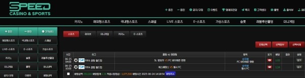 스피드 이용후기