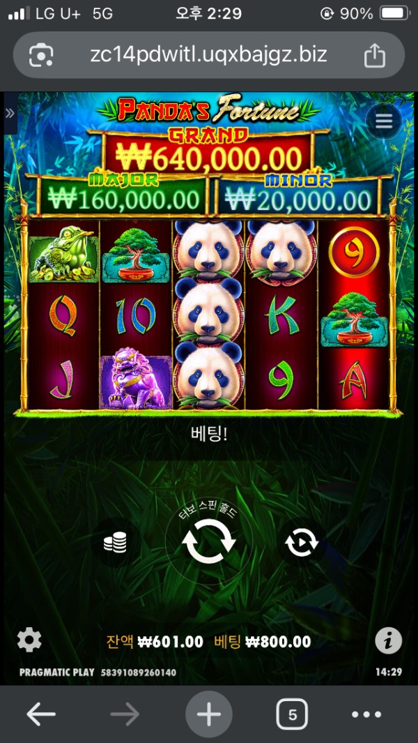 알파카지노 후기