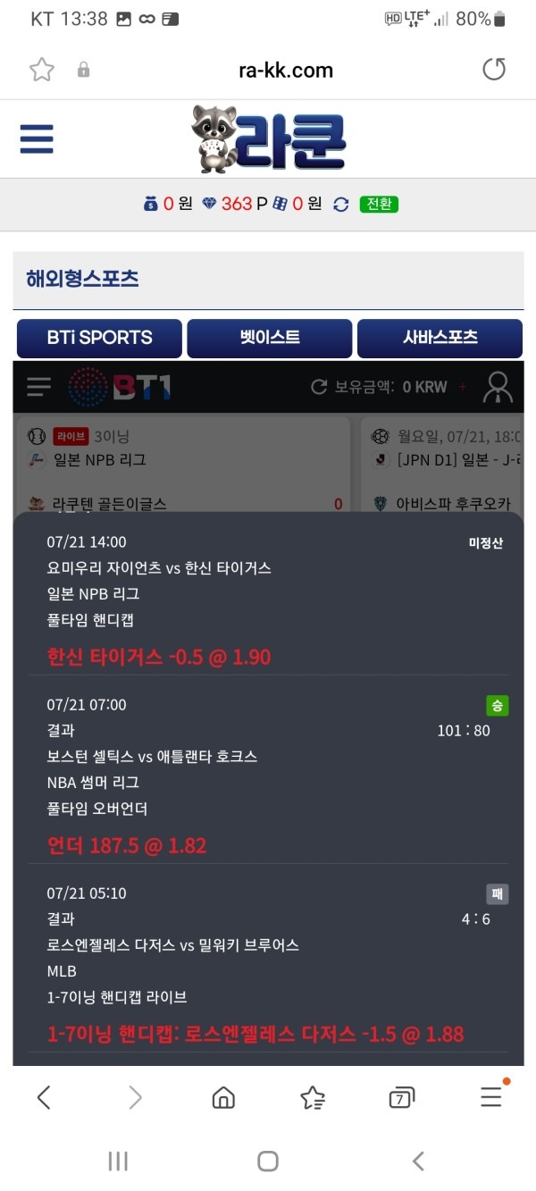 라쿤이라는곳들어보셨나요