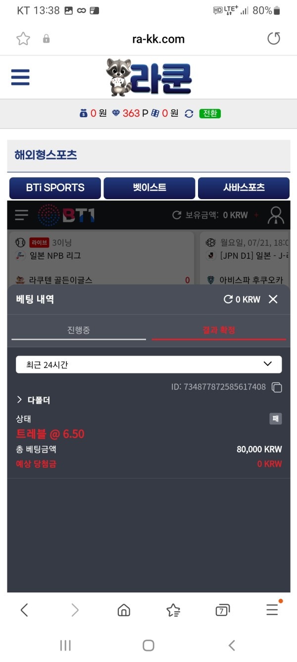 라쿤이라는곳들어보셨나요