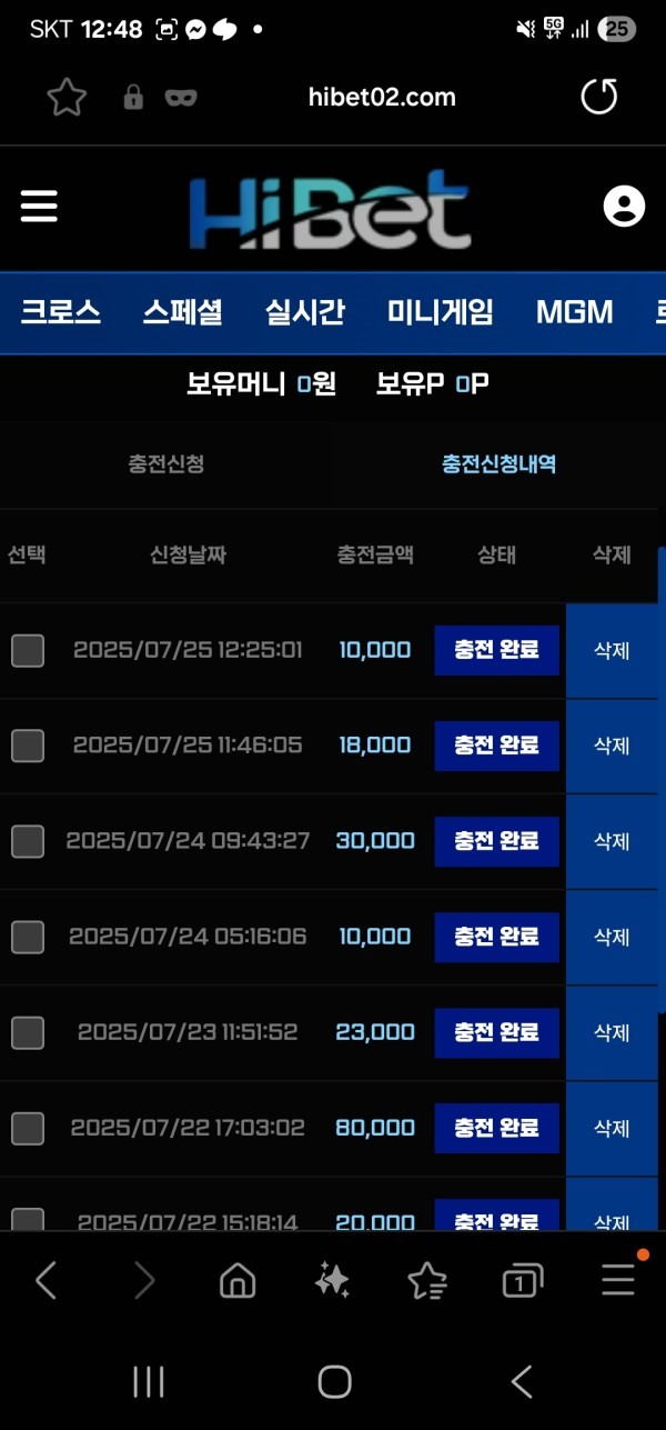 비제휴 하이벳 후기