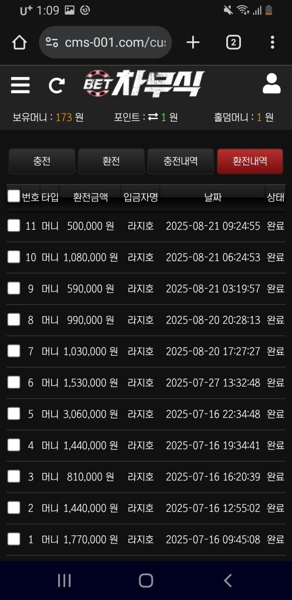 차무식 벳 후기요