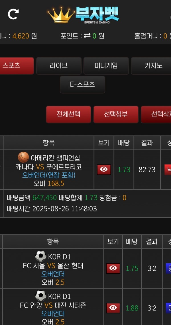 부자벳 건승 리뷰