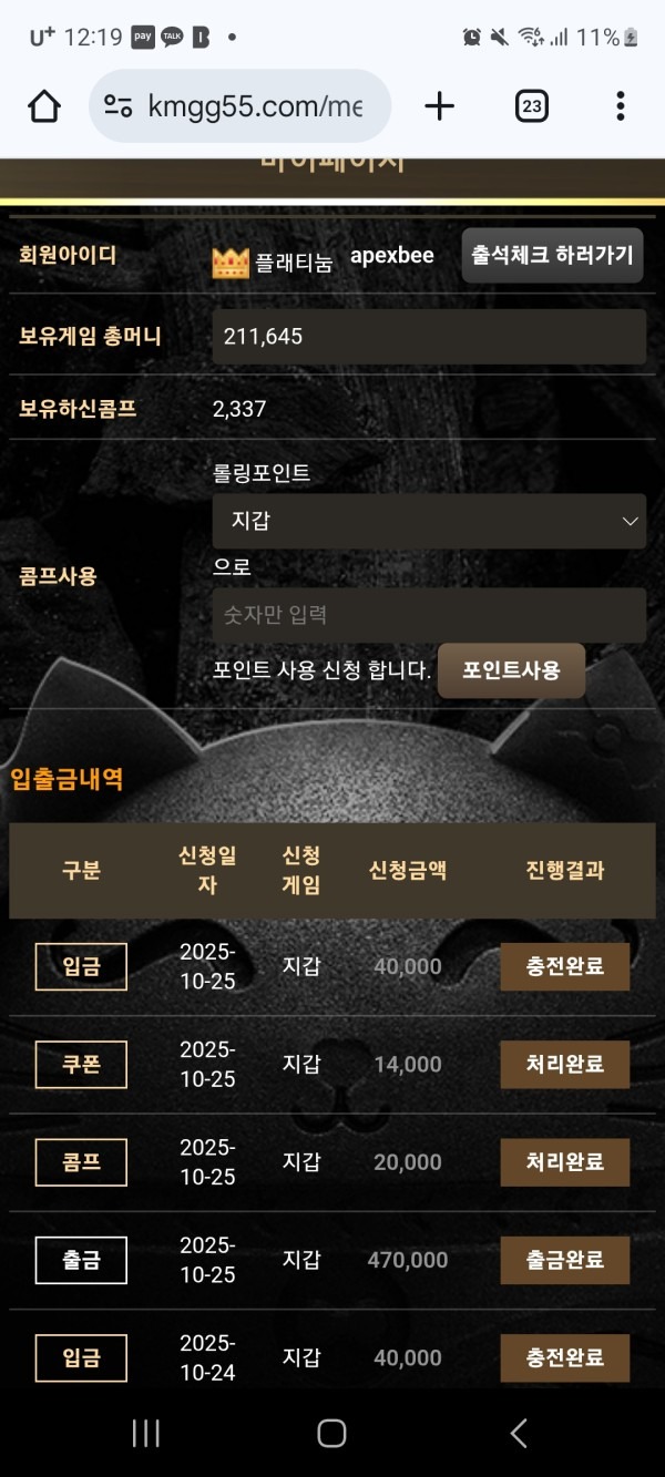 비제휴 메가후기