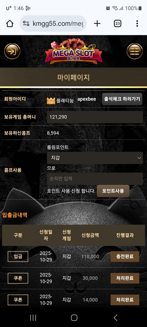 비제휴 메가후기