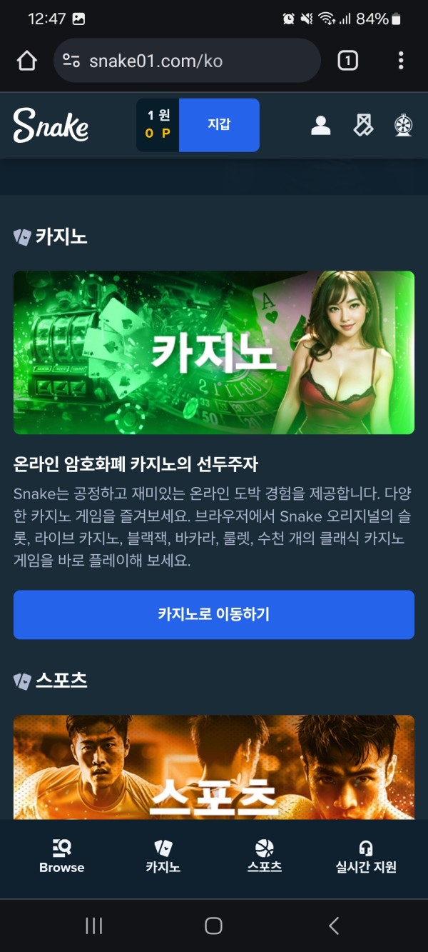 스네이크 후기