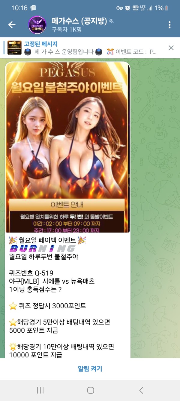 페가수스후기