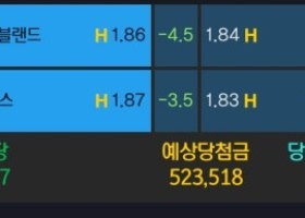 알파카지노 후기