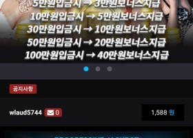 뉴헤븐카지노 후기