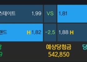 알파카지노 후기