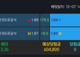 알파카지노 후기