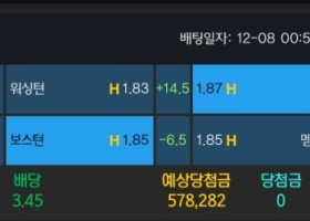 알파카지노 후기