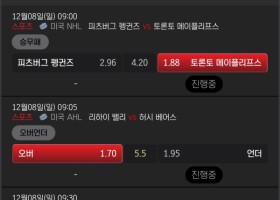 메이저사이트범퍼카후기