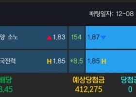 알파카지노 후기