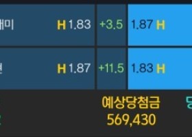 알파카지노 후기