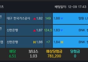 알파카지노 후기