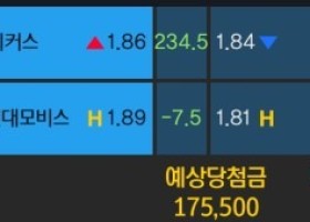 알파카지노 후기