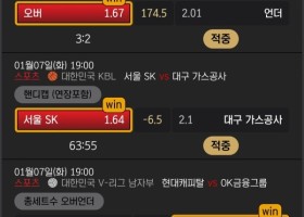 범퍼카 이용후기