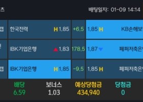 알파카지노 후기