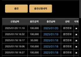 볼트카지노 후기