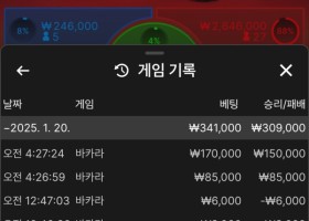 볼트카지노 후기