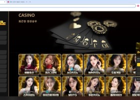 볼트카지노 후기