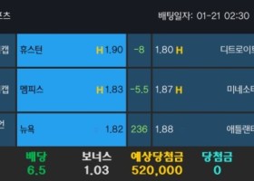 알파카지노 후기