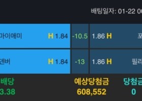 알파카지노 후기