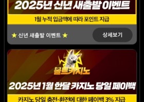 볼트카지노 후기