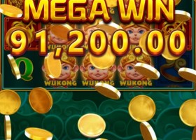 비제휴 테슬롯 후기