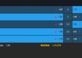 알파카지노 후기