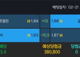 알파카지노 후기