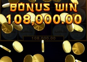 비제휴 테슬롯 후기