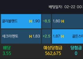 알파카지노 후기