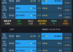 알파카지노 후기