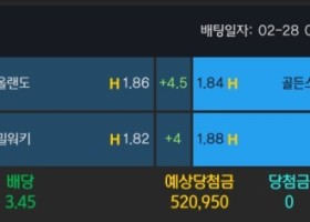 알파카지노 후기