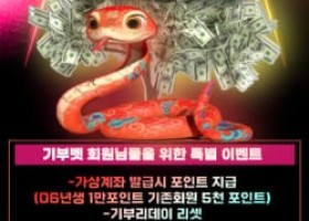 기부벳 이벤트