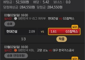 범퍼카 이용후기