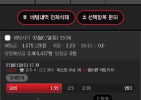 메이저 범퍼카후기