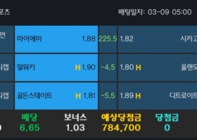 알파카지노 후기