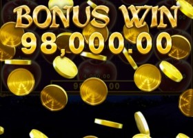 비제휴 테슬롯 후기